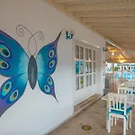 White 3* Ölüdeniz