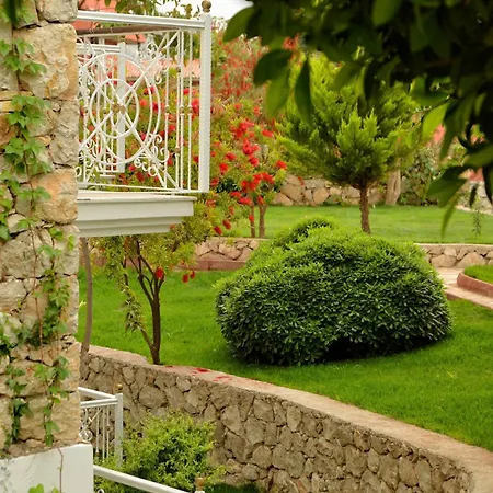 White Hotell 3*